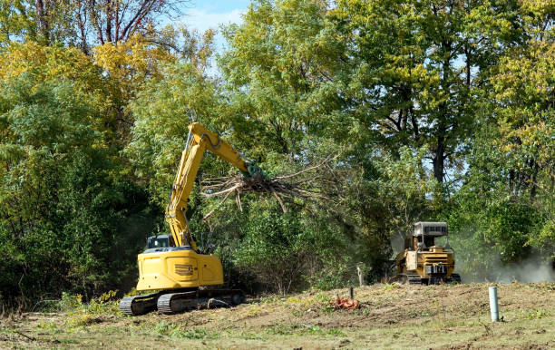 istock Excavator and Forestry Mulcher Clearing Land 1431564005
