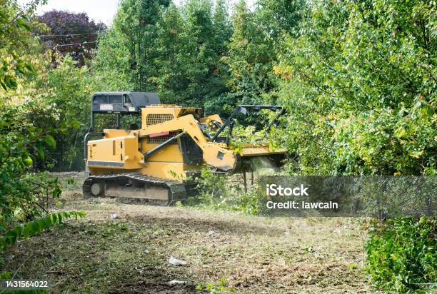 Forestry Mulcher Grinding Up Underbrush Stock Photo - Download Image Now - Glade, Land, Lumber Industry