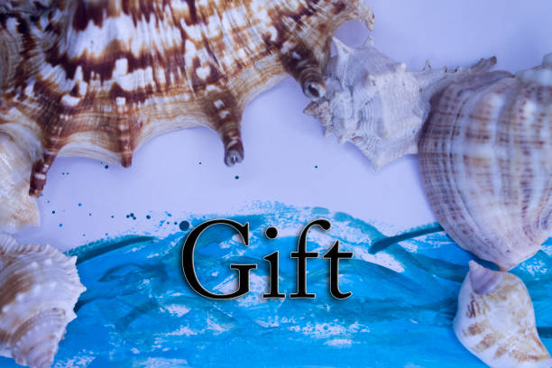 istock Animal Shell, Summer vacation, marine background with Gift text. 1431565574
