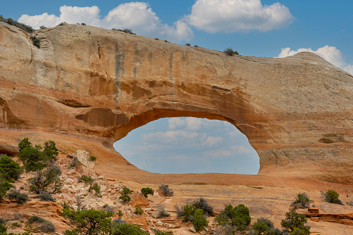 A trail marker sign points to the south window arch of Arches National Park. It also points to the primitive trail.