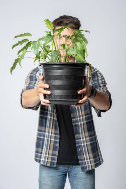 istock A man stood and held a plant pot in his house. 1431575870