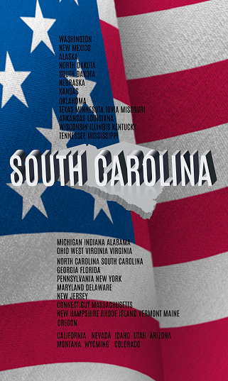 South Carolina inscription on American flag background. 3D illustration