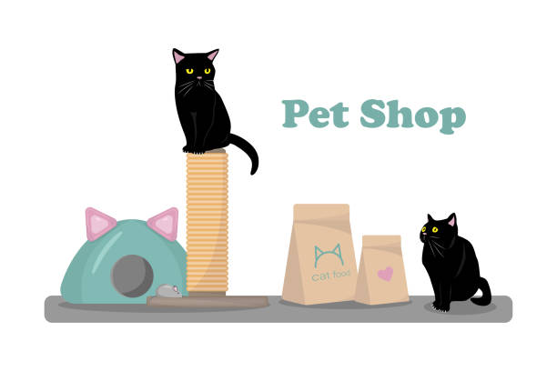 ilustrações, clipart, desenhos animados e ícones de dois gatos negros se sentam ao lado da comida de gato - domestic cat indoors domestic life image