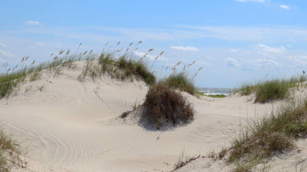 cumberland island dune coaster - sand dune cumberland island beach sand foto e immagini stock