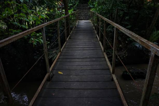 istock wooden bridge to cross the river 1431588752