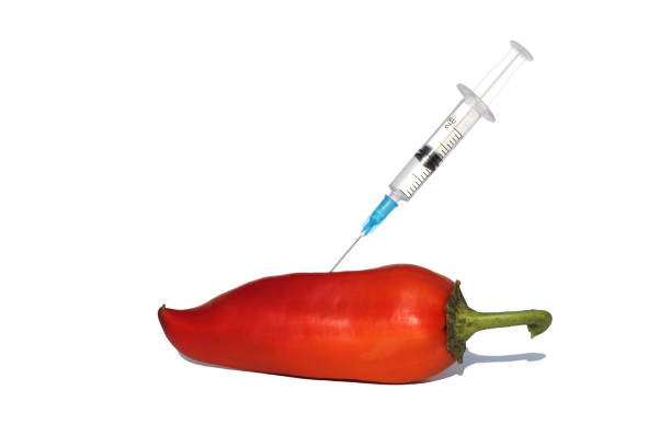 In red pepper pricked with a syringe on a white isolated background. In red pepper pricked with a syringe on a white isolated background. genetic modification change improvement science stock pictures, royalty-free photos & images
