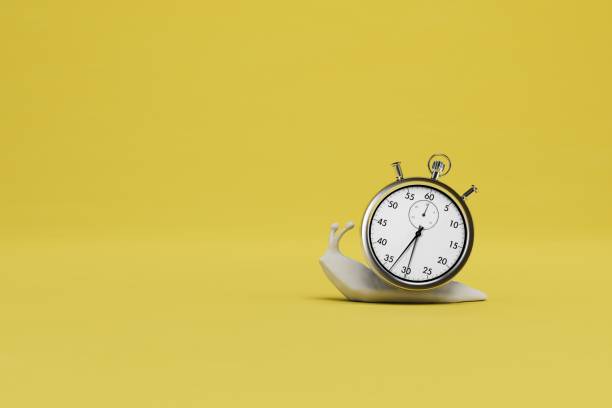 istock Slow task completion. a snail with a stopwatch on a yellow background. copy paste, copy space. 3D render 1431595107