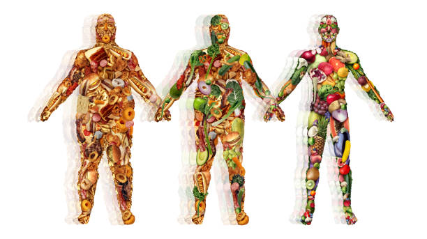 Losing Weight With Healthy Eating Losing weight with healthy eating and Food and health transformation as an obese overweight individual made of unhealthy junk food getting thinner with fruits and vegetables . convenience food stock pictures, royalty-free photos & images