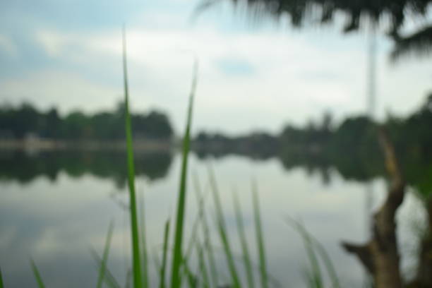 reflection of a lake in the daytime
