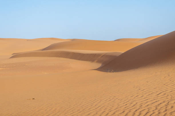 istock Sand formations in the desert caused by the wind 1431602532