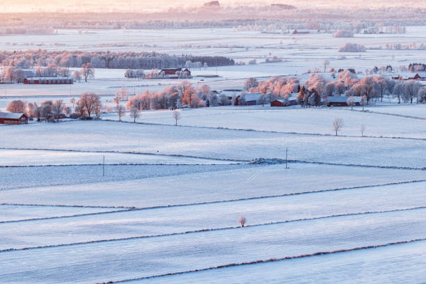 istock Winter landscape view with farms and fields 1431606401