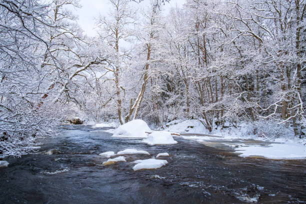 istock Cold winter landscape by a river with snow and frost 1431606465