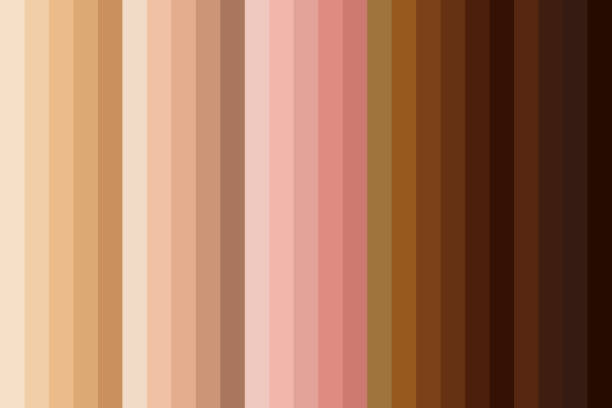 Skin Tones color palette collection. Modern and trendy abstract background broken into multiple vertical color stripes. Vector EPS 10 skin tone chart stock illustrations