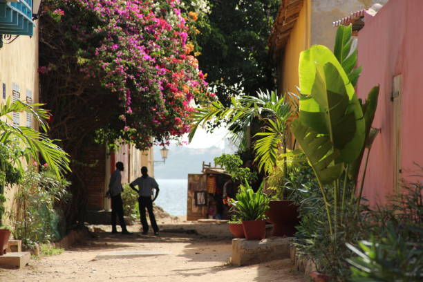 istock Silhouettes on the street with plants 1431617072