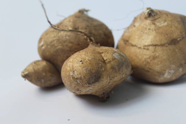 Pachyrhizus erosus Jicama fruit on a white background pachyrhizus erosus stock pictures, royalty-free photos & images