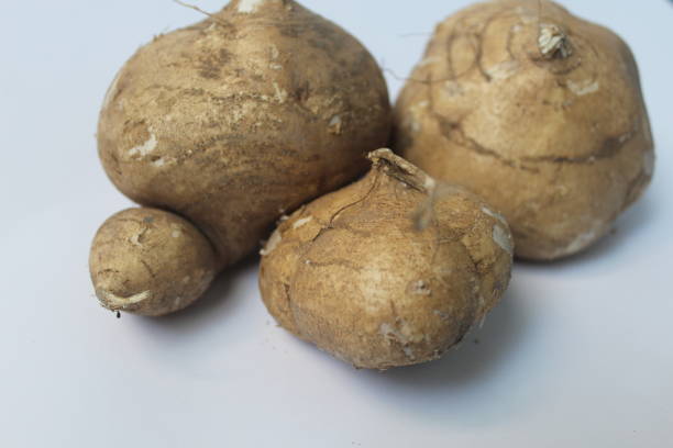 Pachyrhizus erosus Jicama fruit on a white background pachyrhizus erosus stock pictures, royalty-free photos & images