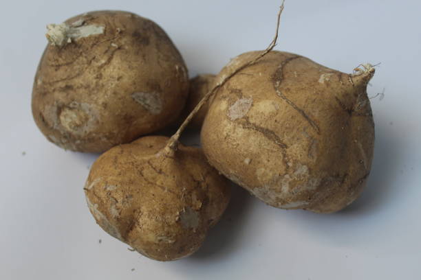 Pachyrhizus erosus Jicama fruit on a white background pachyrhizus erosus stock pictures, royalty-free photos & images