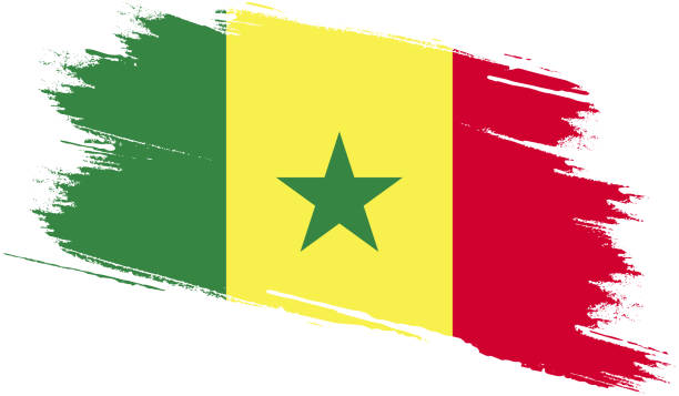 senegal-flagge mit grunge-textur - senegal africa vector illustration and painting stock-grafiken, -clipart, -cartoons und -symbole