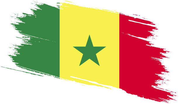 ilustrações, clipart, desenhos animados e ícones de bandeira do senegal com textura grunge - senegal flag dirty africa