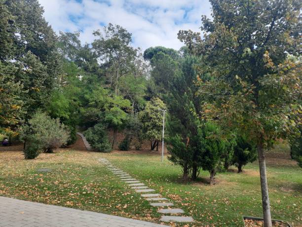 istock A view of park 1431628358