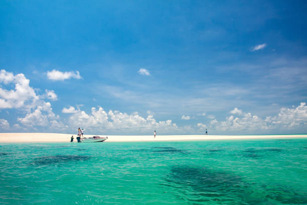 isola di gusung, derawan - island of borneo foto e immagini stock