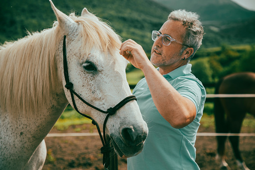 Man with white hair and glasses in blue jeans and blue polo shirt stroking a white horse in the stable with a background of meadows and blue sky