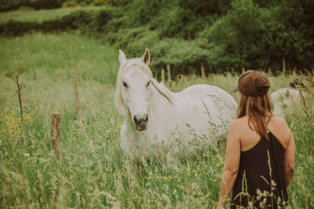 istock Woman with a white horse 1431637029