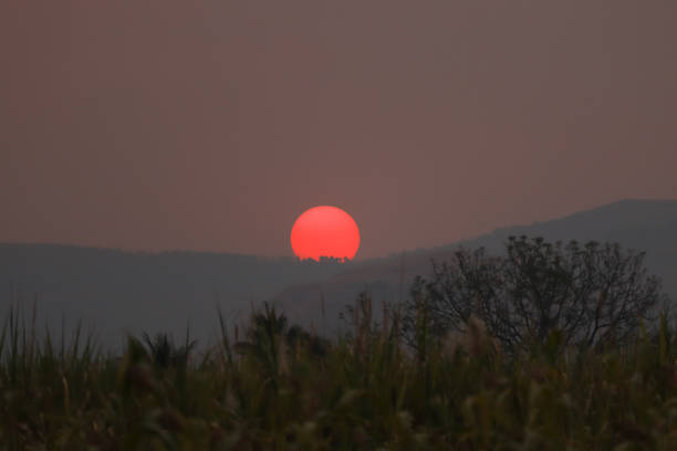 istock landscape view of sunset with trees and mountains 1431641705