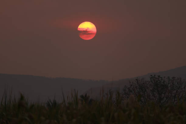 istock landscape view of sunset with trees and mountains 1431641724