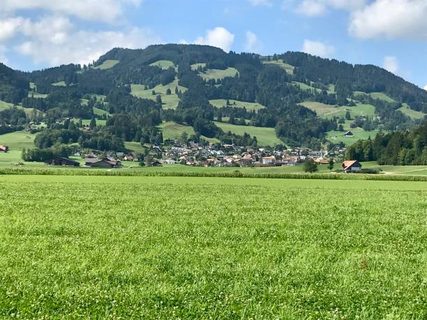 Swiss - Canton of Fribourg- Gruyères Switzerland - canton of Fribourg-Gruyères. Gruyères is a medieval town in the Swiss canton of Fribourg. It is famous for its production of the cheese of the same name. bulle stock pictures, royalty-free photos & images