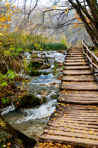 Plitvice Lakes National Park during colorful autumn, Croatia, Europe. Fall colors leafs on trees. Waterfalls and water in sunny morning light with fog. Landscape photography. View of Plitvicka Jezera.