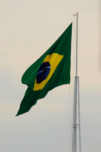 istock Brazilian flag, flying on a white pole, blown by the wind under a pale sky. 1431657856