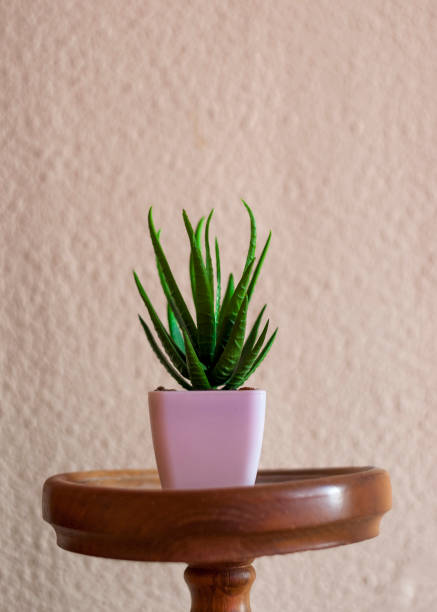 istock Green decorative artificial plant with white pot with room for copy space in vertical 1431658549