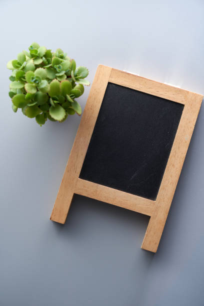 istock blank blackboard with succulent  plant against gray background 1431658894
