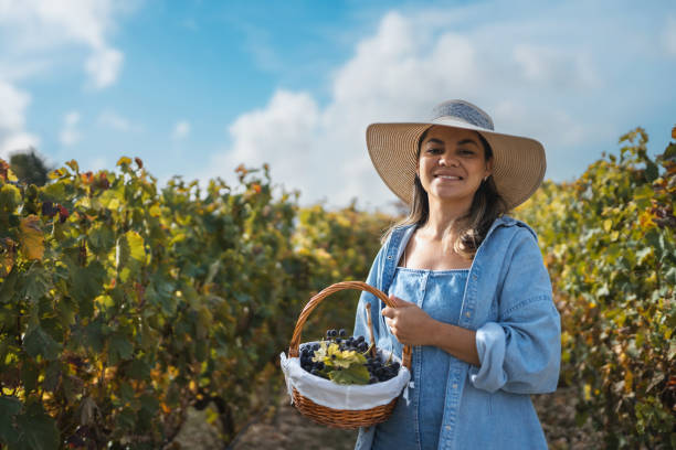 istock Woman working in the vineyard 1431662990