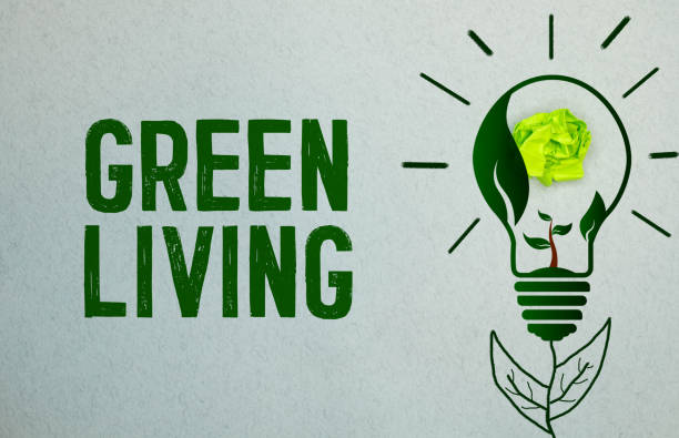 istock Ecological concept. On a reflective surface is a globe and a green sign with the inscription - Green Living 1431665352