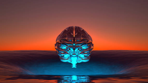 human brain front view hovering over the horizon of the sea at sunset stock photo