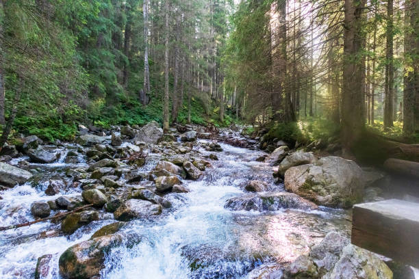 istock River with gray rocks in the mountains 1431692943