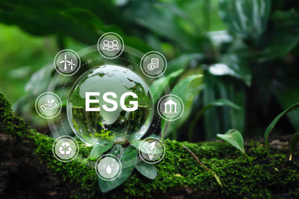istock Crystal globe putting on moss, ESG icon for Environment Social and Governance, World sustainable environment concept with a green background. 1431696828