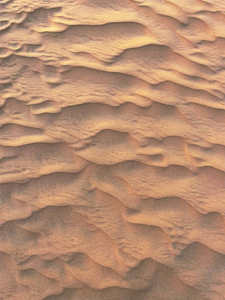 istock Natural pattern on a dune sand at sunset in desert 1431707057