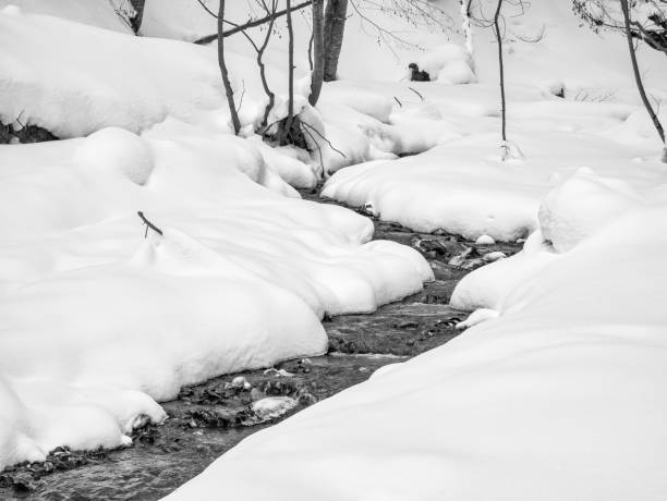 白い雪の下を流れる渓流が岩や氷のカメを通り抜けます。 - 5493 ストックフォトと画像
