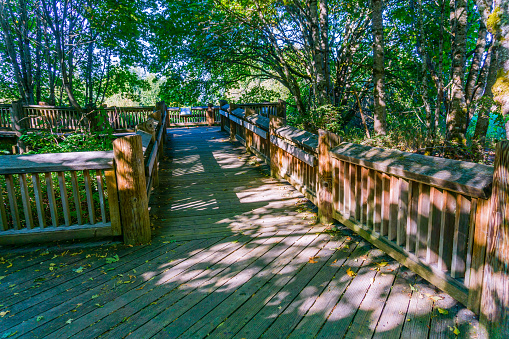 A boardwalk walkway at the Nisqually Wetlands in Washington State.