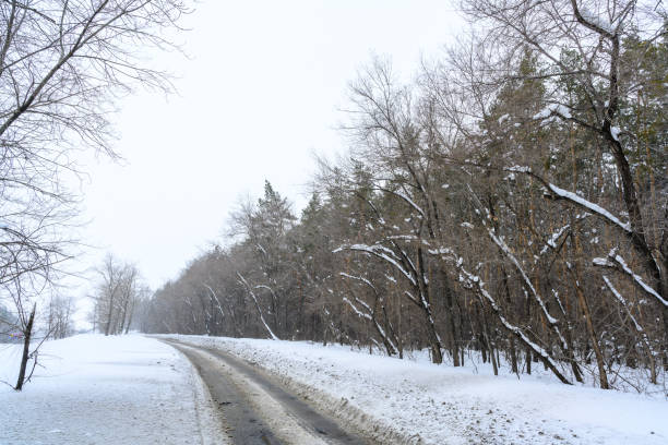 Snowy winter road in a mountain forest. Beautiful winter landscape.