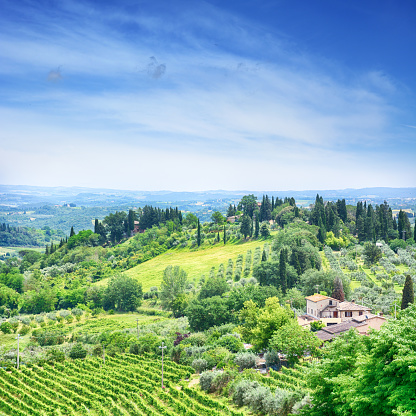 Rolling Landscape of Tuscany in sunny day, Italy. Composite photo