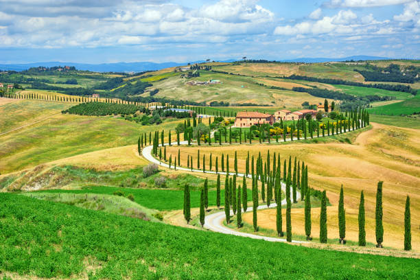 paisagem da toscana, itália - winding road sunlight field cultivated land - fotografias e filmes do acervo