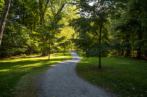 A winding view of the Brook Path in suburban Wellesley, MA which is enjoyed by many joggers, cyclists, and walkers.  The pat runs the length of Wellesley from the Hills to the Square.  Along the path you can access both retail shops and residential neighborhoods.