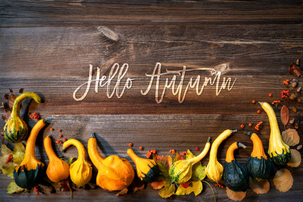 istock Autumn Pumpkin Decoration, Text Hello Autumn, Wooden Background 1431717364