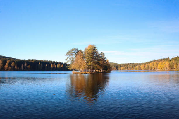 Autumn in Sognsvann, Oslo, Norway Autumn in Sognsvann, Oslo, Norway norway autumn oslo tree stock pictures, royalty-free photos & images