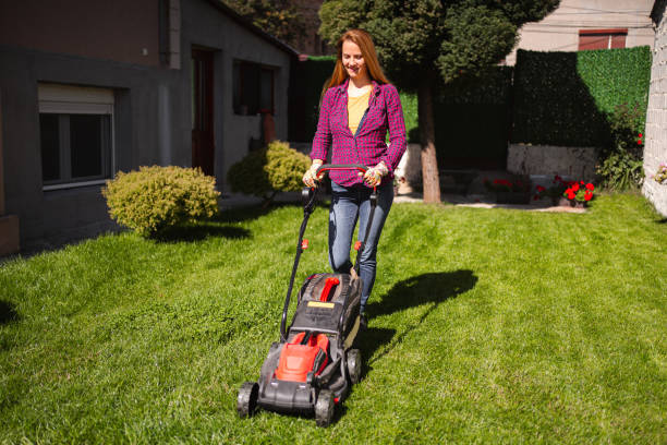 istock Woman mowing grass in her backyard 1431726023