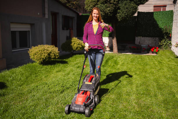 istock Woman mowing grass in her backyard 1431726100